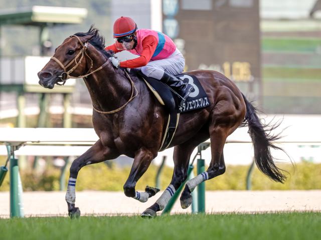 【有力馬動向】まだまだ若いキタノエクスプレス/馬三郎のつぶやき