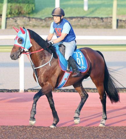 【3歳&古馬・注目馬動向】古豪タガノビューティーは東京盃か南部杯へ　ショウナンザナドゥはセントウルS