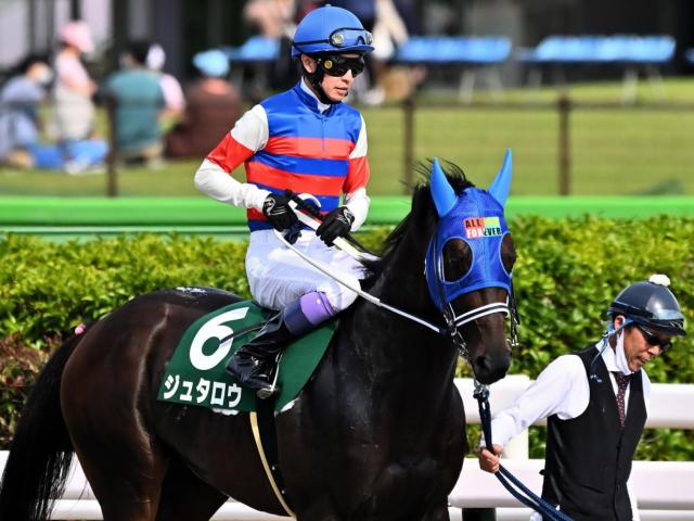 【博多S】GI獲りを期待された素質馬ジュタロウ 1年ぶりの復帰戦だ