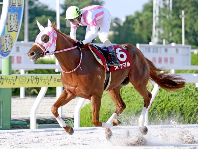 【園田・兵庫優駿】オケマルが無敗2冠馬　下原理騎手「全国交流でも活躍できる存在になって」2着に8馬身差