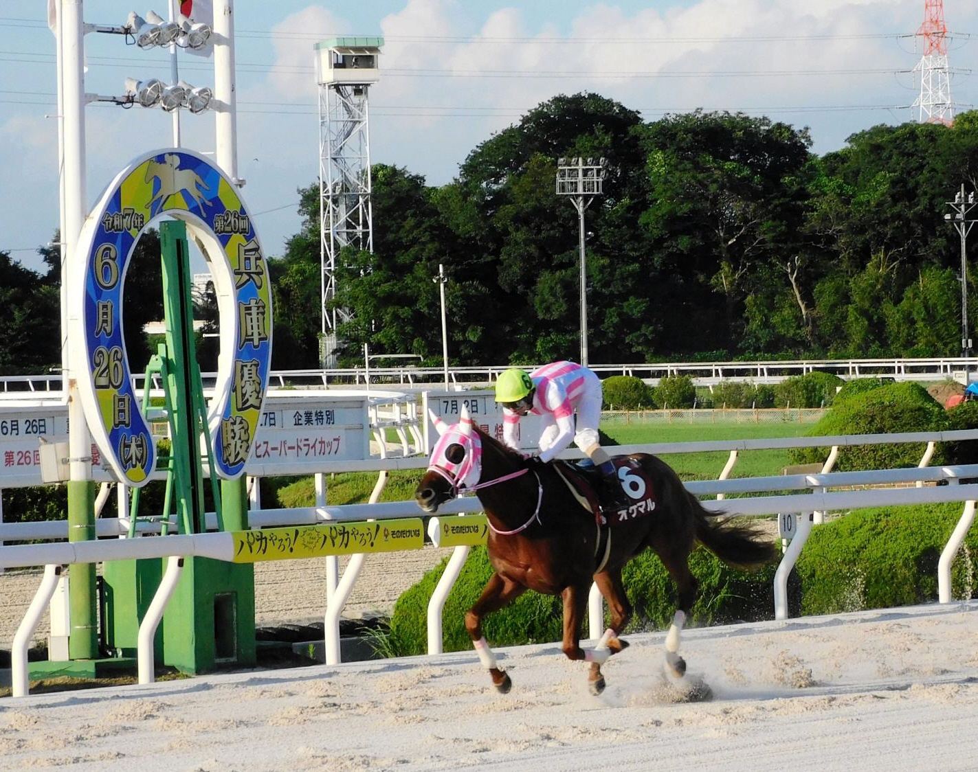 【地方競馬】オケマルが兵庫優駿圧勝　菊水賞に続いて兵庫３冠の２冠目も制覇