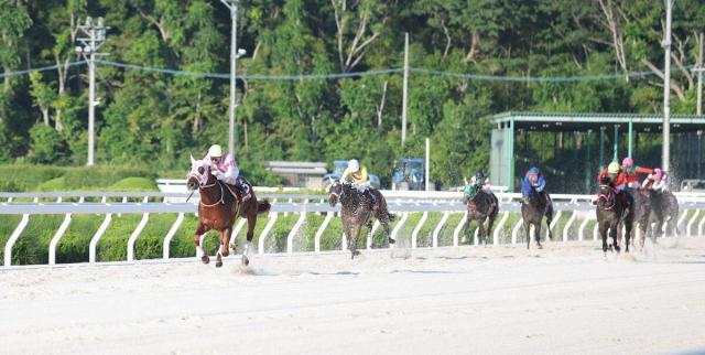 【園田競馬11R　兵庫優駿】オケマル　8馬身差の圧勝　7戦無敗で兵庫3歳2冠達成　単勝は“元返し”