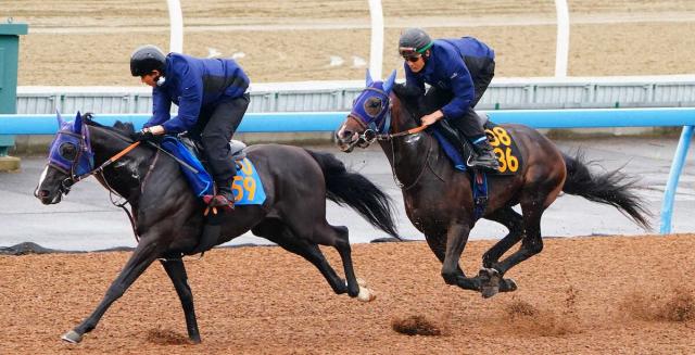 【ラジオNIKKEI賞】レーヴブリリアント　雨のWコースも好時計ラスト11秒4 田中博師も納得
