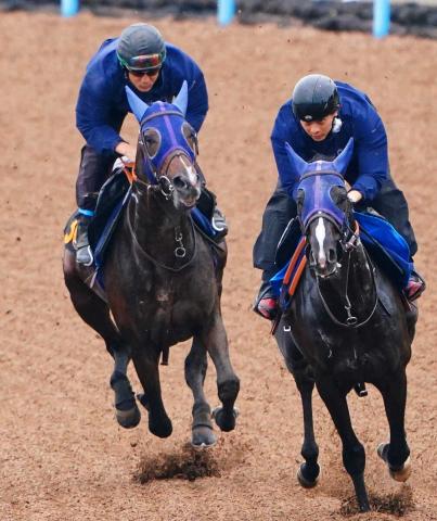 【ラジオNIKKEI賞】舟山瑠泉&レーヴブリリアント ルーキー重賞騎乗一番乗り「攻めていく」