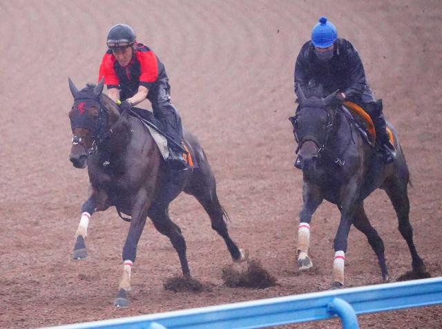 【ラジオNIKKEI賞】モティスフォント　余力たっぷり　田村師は格上挑戦に手応え