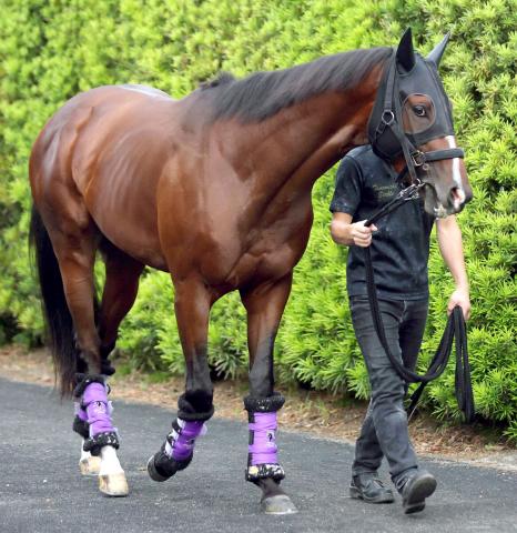 【ラジオNIKKEI賞】前走オープン特別&ハンデ55キロの馬が勝率、連対率、3着内率で1位…浮上したエピファネイア産駒