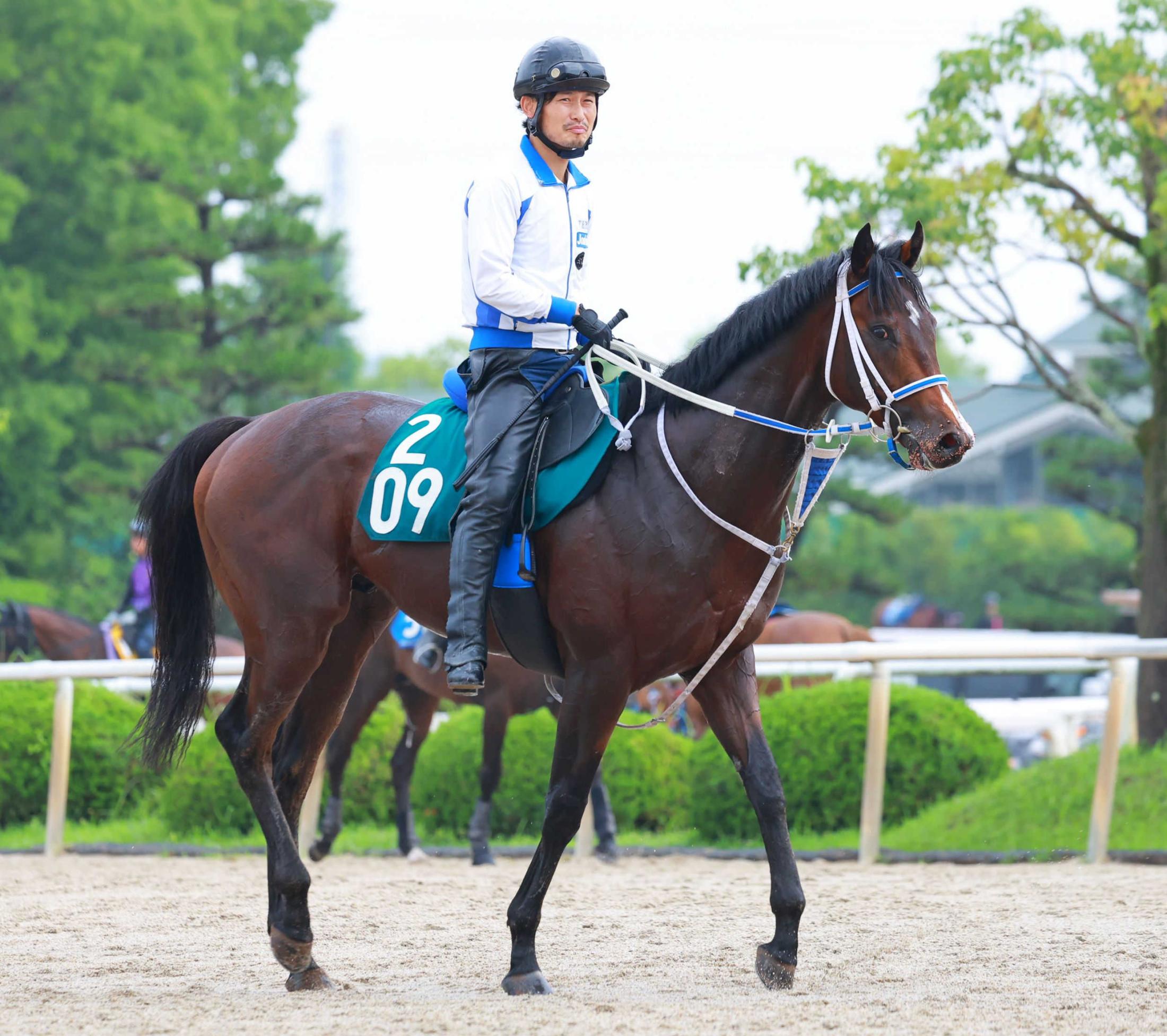 【新馬戦】ゼロヴィジビリティ　好ラップで年長馬圧倒　母の全弟にブルーシンフォニーのいるスピード自慢の血統