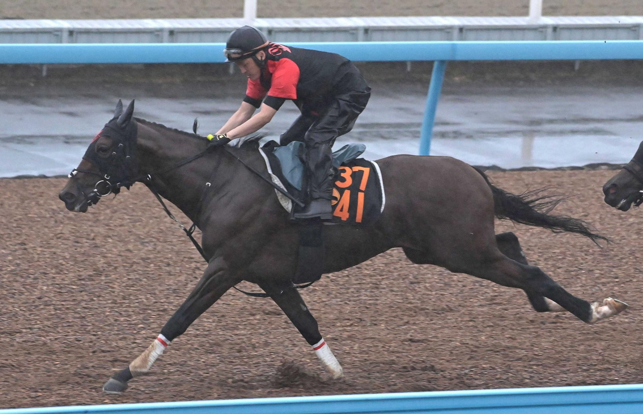 【ラジオＮＩＫＫＥＩ賞】モティスフォント豪快走　折り合い考慮し馬具に工夫　バラ一族の血統的ポテンシャル活かし受賞初Ｖへ