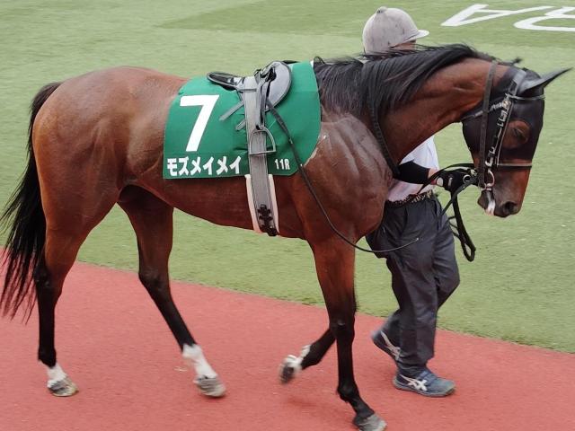 今年もこのレースで復活か モズメイメイが昨年魅せた大激走