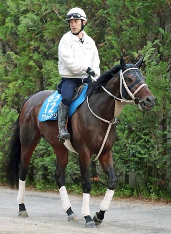 【帝王賞】アウトレンジが松山弘平騎手を背にシャープな動き　「手応えは良かった」