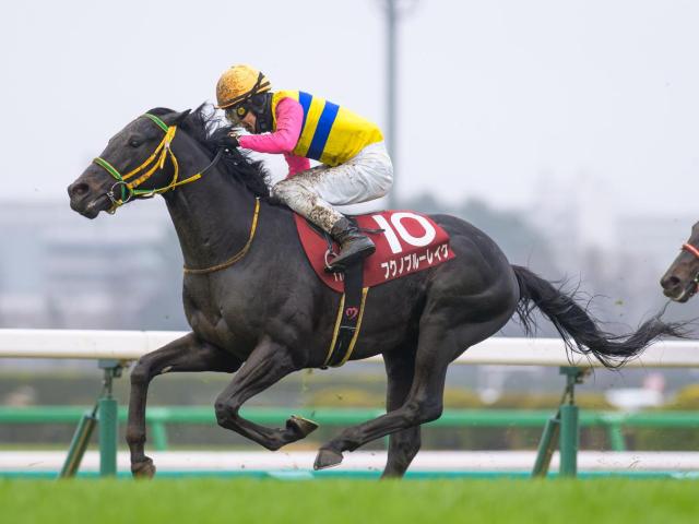 【ラジオNIKKEI賞枠順確定】フクノブルーレイクは2枠2番、トレサフィールは7枠11番