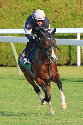 【函館記念】メンバー唯一の重賞勝ち馬アルナシームは6枠9番　マコトヴェリーキーは8枠13番　枠順確定