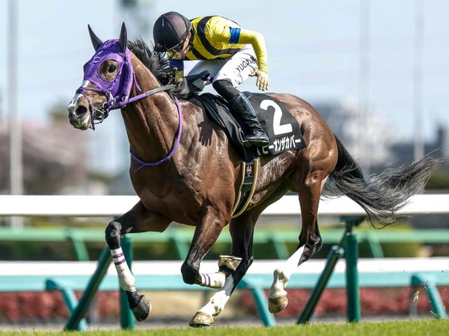 【ラジオNIKKEI賞予想】JRA唯一の「3歳ハンデ」重賞 ロングスパート型の馬が有利に