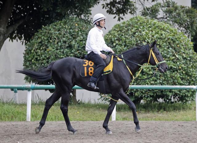 【ラジオNIKKEI賞】フクノブルーレイクは角馬場からゲートの駐立を確認　竹内調教師「流れてくれた方が…」