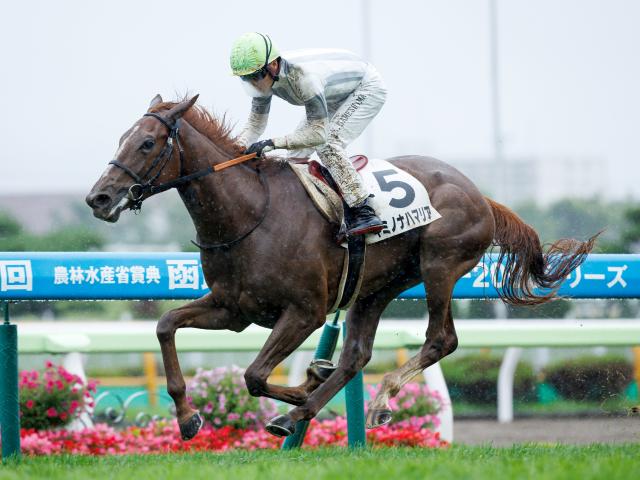 【函館記念予想】サマー2000シリーズの幕開け飾る一戦 コーナーをロスなく回る器用さが求められる
