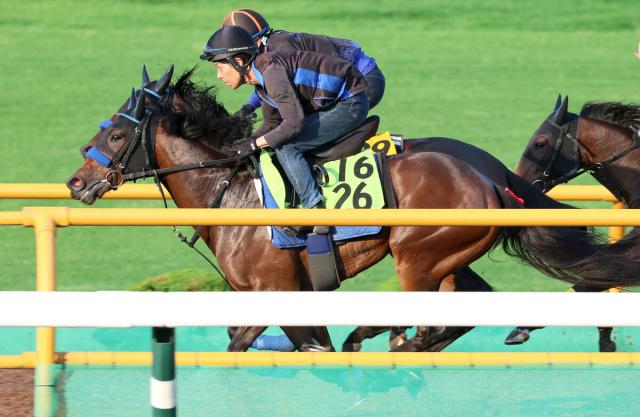 【POG】近親にグランアレグリアがいる血統馬エスカレイトは発馬次第　小林美駒騎手「いいものがあります」