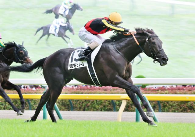 【注目馬動向】クロワデュノールは北村友一騎手とのコンビで凱旋門賞へ　プランスドランジュ賞をステップレースに選択