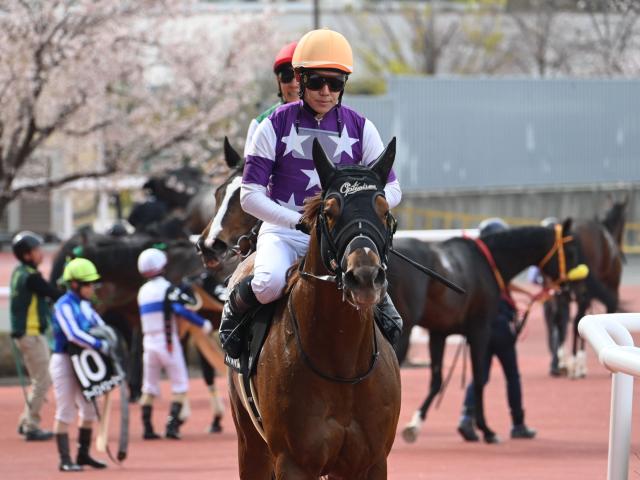 【有力馬動向】サンライズフレイムが帰厩、東海Sで重賞初勝利を目指す/馬三郎のつぶやき