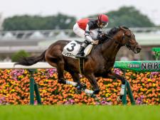 ラジオNIKKEI賞に出走するトレサフィール(撮影：下野雄規)