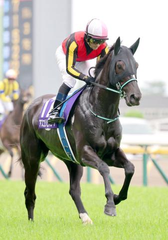 【注目馬動向】ヴィクトリアMを制したアスコリピチェーノは鞍上ルメール騎手で仏G1ジャックルマロワ賞へ