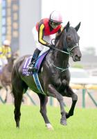 アスコリピチェーノ（馬上はルメール騎手）