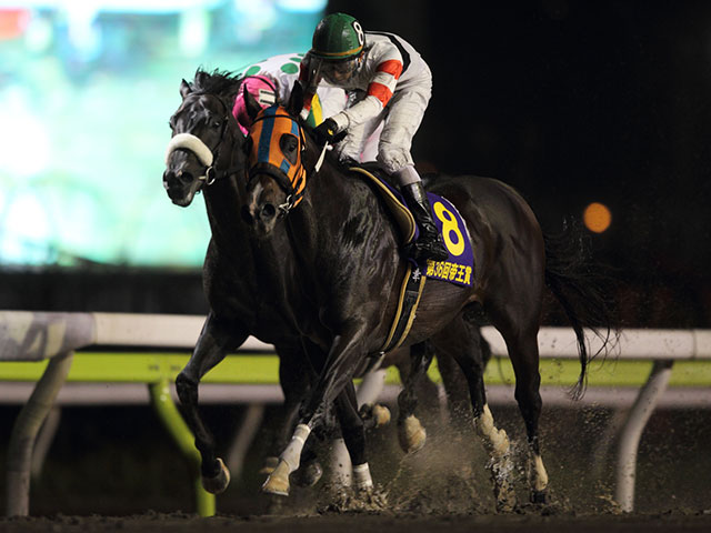 唯一帝王賞3勝目を目指した馬 16年のホッコータルマエ