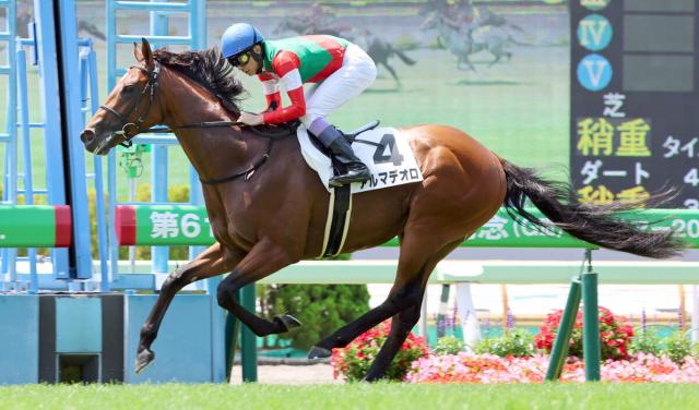 【函館4R・3歳未勝利】武豊騎手がキタサンブラックの弟アルマデオロでV　鞍上はこの日午前の函館で4戦3勝