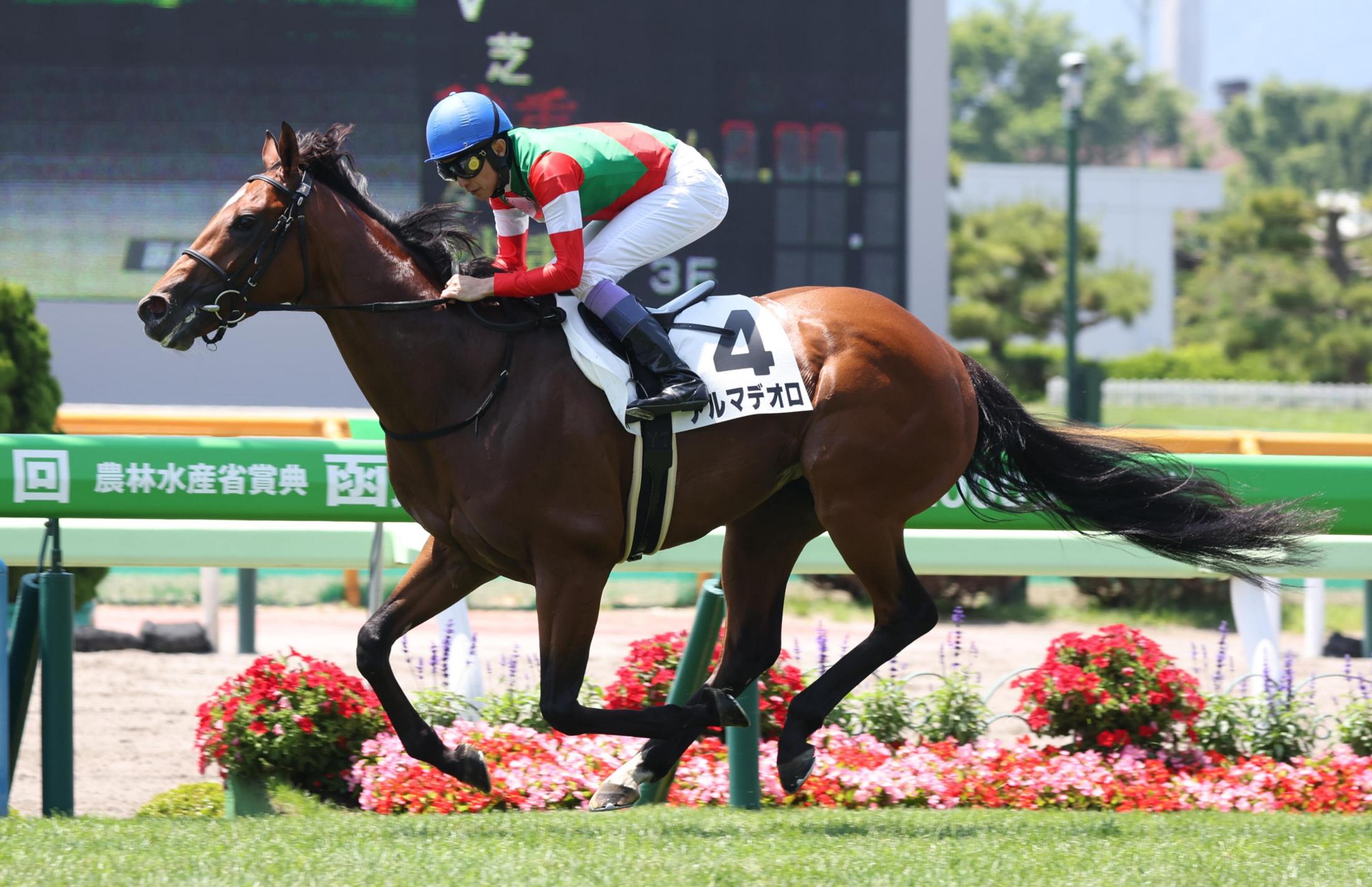 武豊がキタサンブラックの半弟アルマデオロを初勝利に導く「クラスが違う勝ち方」　函館リーディング首位浮上