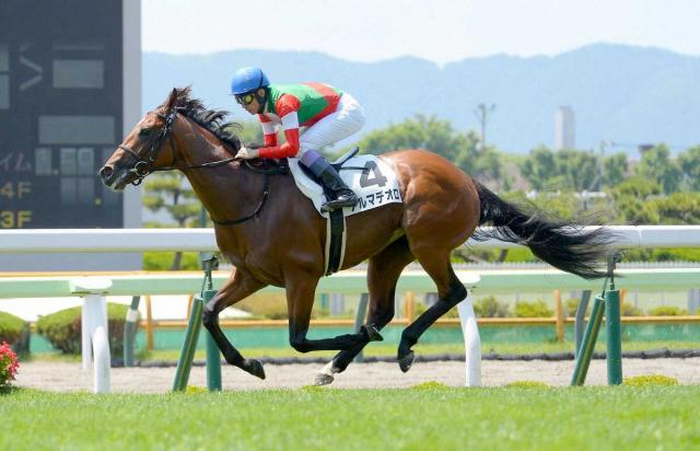 【函館4R・3歳未勝利】キタサンブラックの半弟アルマデオロが初勝利　鞍上の武豊「今後が楽しみ」