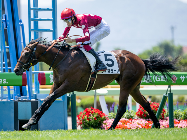 【函館5R新馬戦結果】インディチャンプ産駒フィオラーノが押し切り勝ち