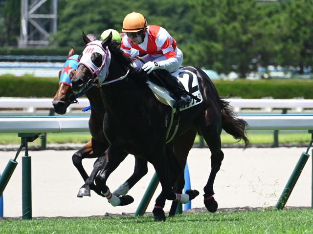 【小倉5R新馬戦結果】ネロ産駒カラクニダケが人気に応えてV
