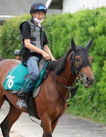 【小倉5R・2歳新馬】ナンテヒダは「バイきんぐ」小峠英二さん結婚発表直後の初陣も5着