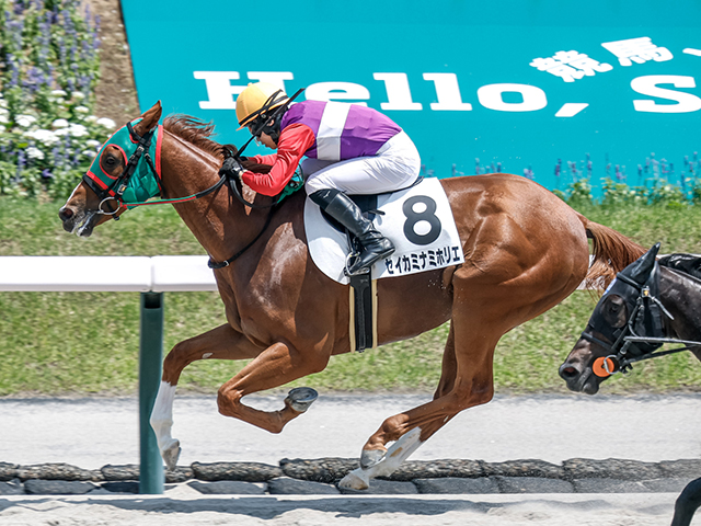 【福島6R新馬戦結果】グレーターロンドン産駒セイカミナミホリエが逃げ切りV