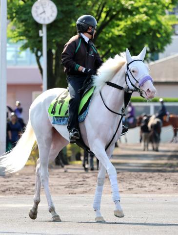 【POG】ソダシの妹で白毛のマルガ　7・12デビュー戦の鞍上は武豊騎手