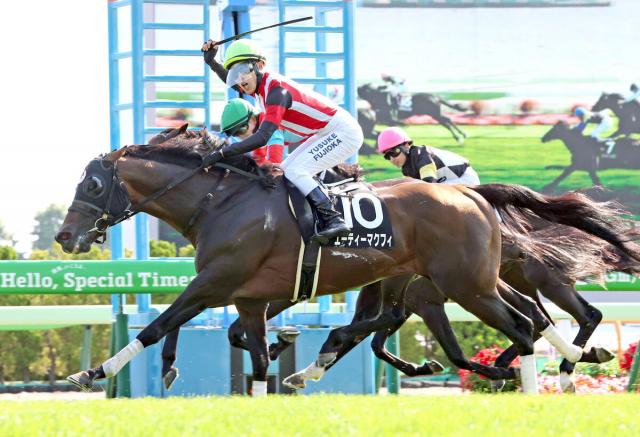 【函館11R・青函S】エーティーマクフィが12番人気でオープン初勝利　芝は22年12月以来の出走