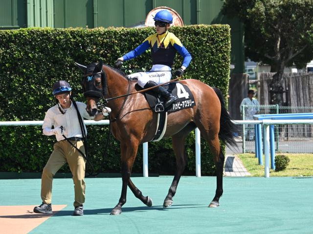 【八代特別レース後コメント】ハッピーアズラリー高杉吏麒騎手ら