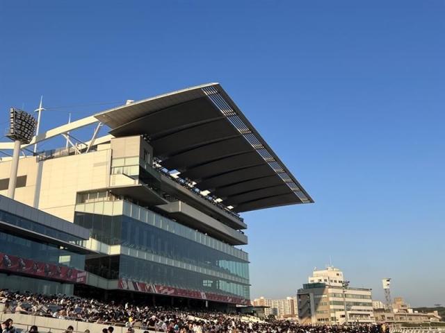 大井競馬調教師がオンラインカジノ利用で罰金刑