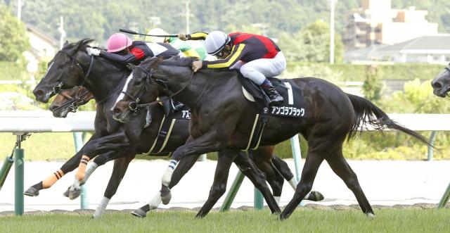 【福島11R・バーデンバーデンC】アンゴラブラックが3連勝でオープン入り　戸崎圭太騎手「充実してきた」