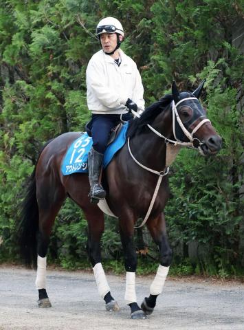【大井競馬・帝王賞(7月2日)】アウトレンジJpn1初挑戦Vだ