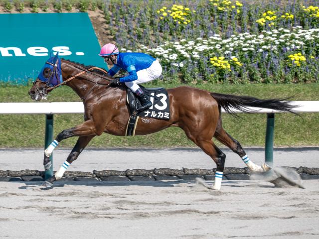 【いわき特別レース後コメント】ナルカミ戸崎圭太騎手ら