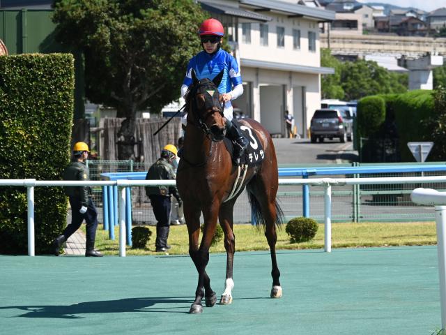 【柳川特別レース後コメント】テレサ松山弘平騎手ら