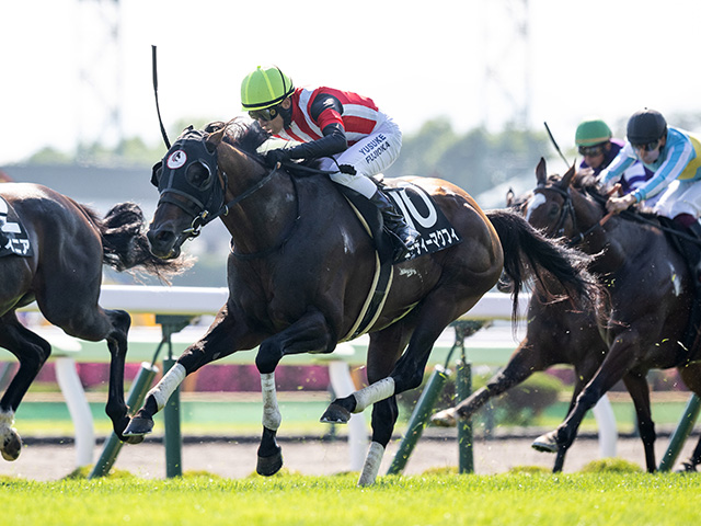 【青函Sレース後コメント】エーティーマクフィ藤岡佑介騎手ら