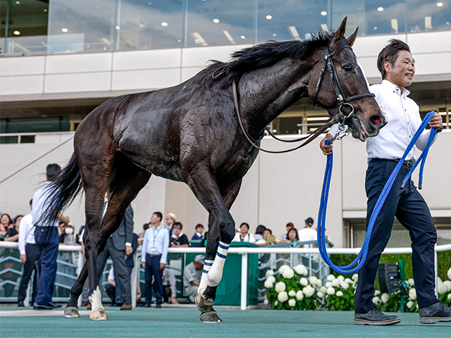 【バーデンバーデンCレース後コメント】アンゴラブラック戸崎圭太騎手ら