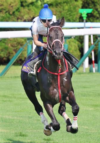【函館記念】青森県産馬として注目を浴びるハヤテノフクノスケが単勝2・9倍で1番人気　前日最終オッズ