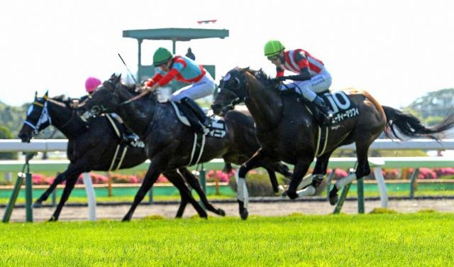 【函館11R・青函S】エーティーマクフィ　久々の芝で快勝!　武英師「やっと使いたいところに使える」