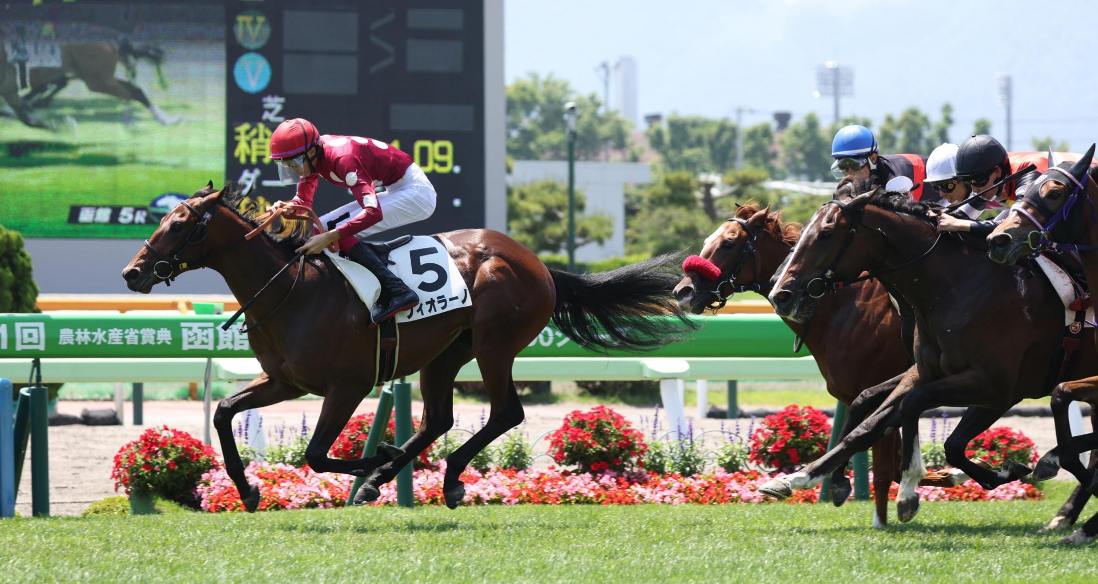 【新馬戦】フィオラーノ力強く快勝　松本「とてもセンスのある次につながるいい競馬」