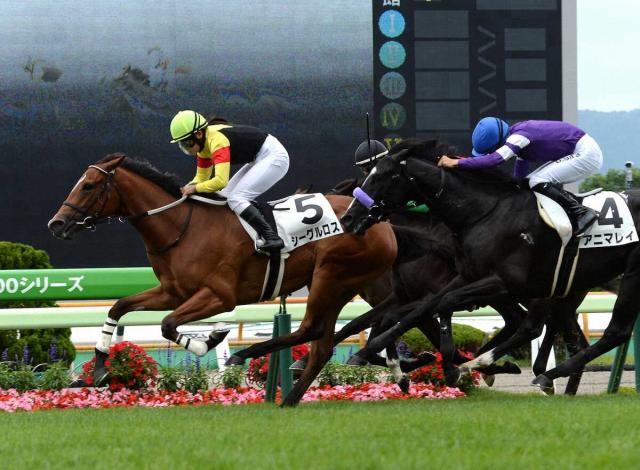 【函館1R・2歳未勝利】9番人気シーグルロス2戦目で初勝利　小林美「センスある馬だと思っていました」