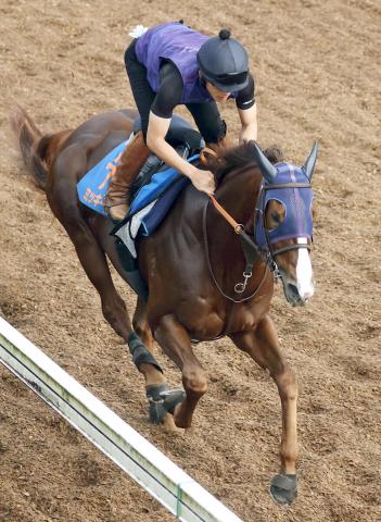 【帝王賞】アンタレスS制覇ミッキーファイトは2枠2番　史上初3勝目狙うメイショウハリオは6枠9番　枠順確定