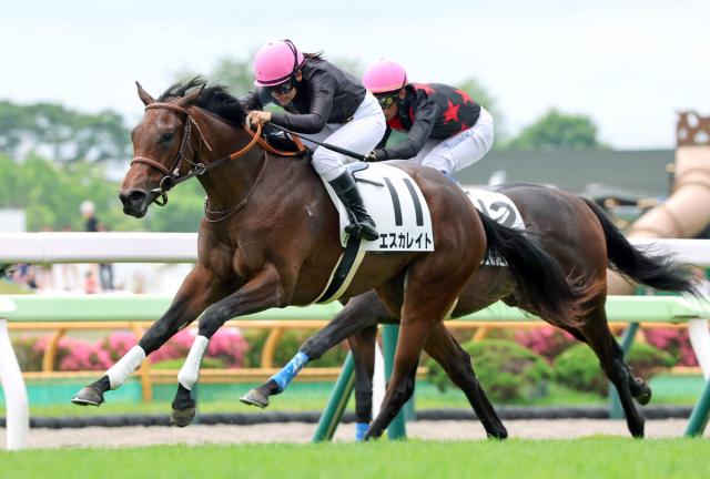 【函館5R・2歳新馬】人気馬を目標に動いたエスカレイトが初陣V　今週3勝目の小林美駒騎手も納得の好騎乗