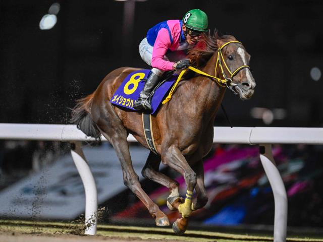 【大井・帝王賞枠順】JpnI・5勝目狙うメイショウハリオは6枠9番、アンタレスSを快勝したミッキーファイトは2枠2番